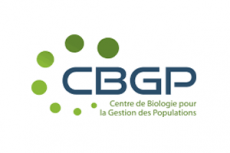 CBGP